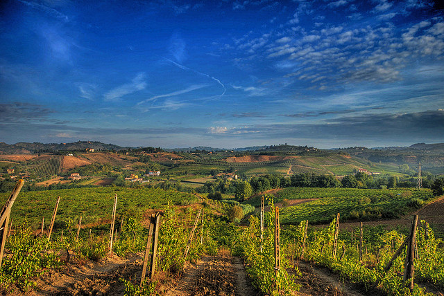 Vos vacances au soleil en Toscane - plare. Vignes de Chianti