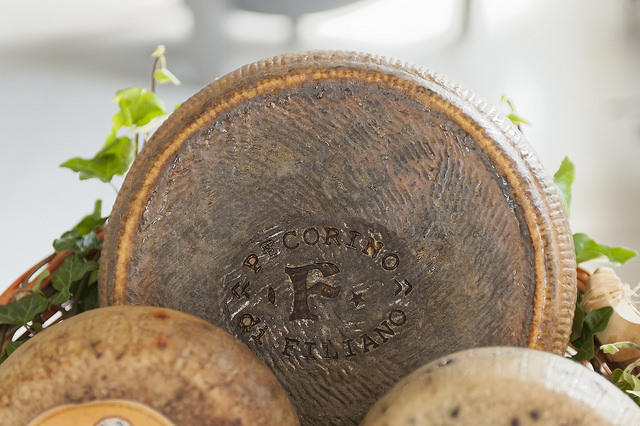 Vos vacances au soleil en Toscane - plare. Fromage Pecorino