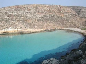 lampedusa pulcino