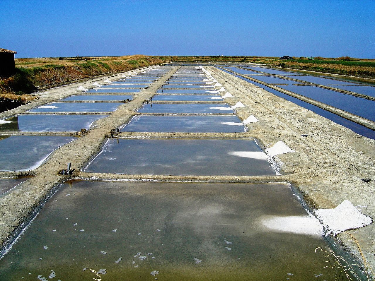 L’Ile Ré, une petite île qui vous fera rêver ! - plare. marais salants