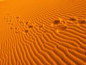 Dune Mui Ne