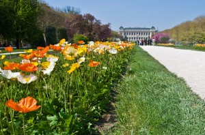 paris plantes