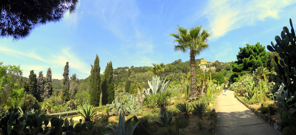 Une visite à Blanes... - plare. crédit photo flickr - Jaume Meneses 2
