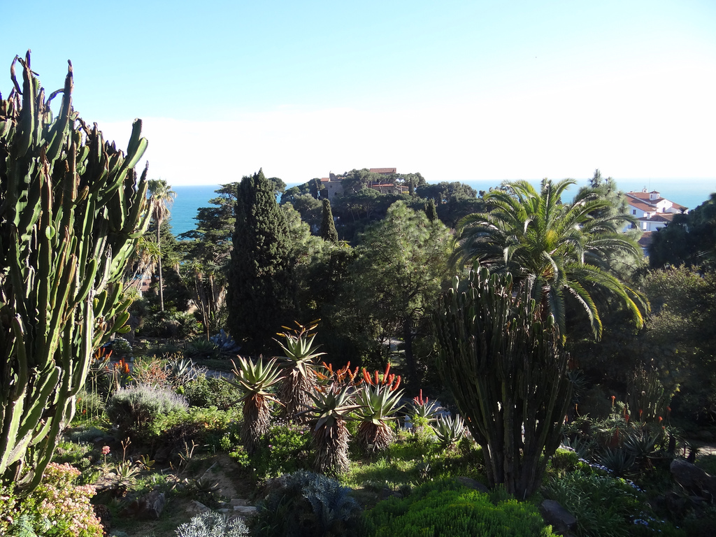 Une visite à Blanes... - plare. crédit photo flickr - westher 2