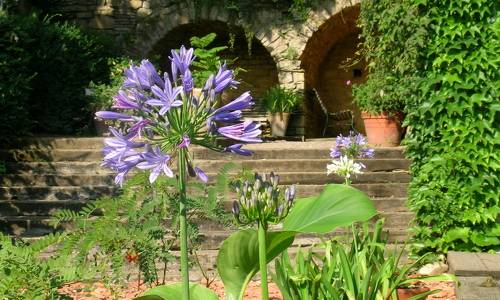 Cordes-sur-ciel, montez au septième ciel ! - plare. jardin paradis
