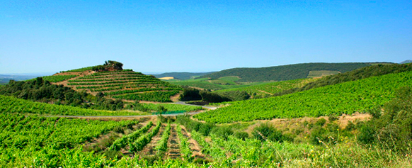 paysage