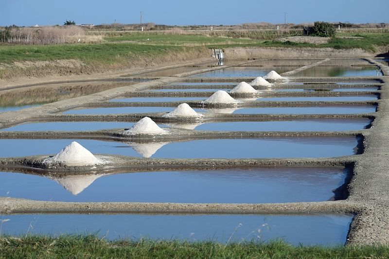Le top des activités en Vendée ! - plare. 022_-_Marais_salants_-_Noirmoutier