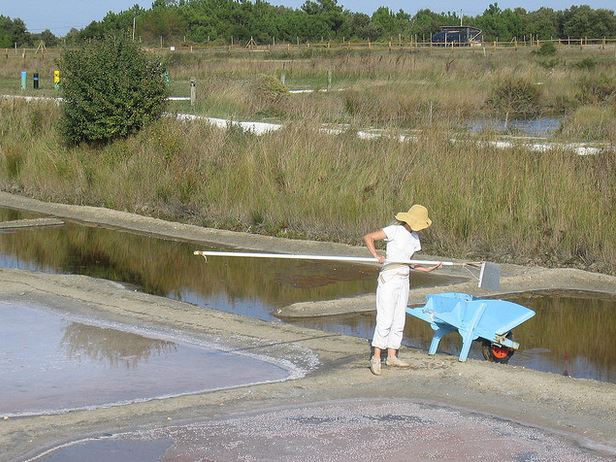 activités nature à l'île d'Oléron 11- frédérique panassac