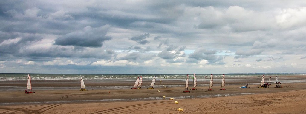 activités nature à l'île d'Oléron 13-jean-françois gornet