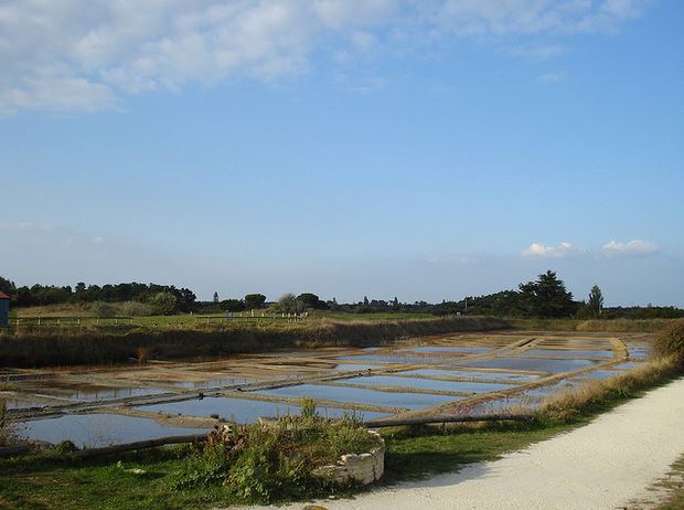 activités nature à l'île d'Oléron 2 - julie gibbons
