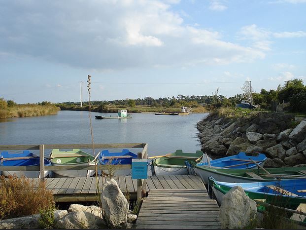 activités nature à l'île d'Oléron