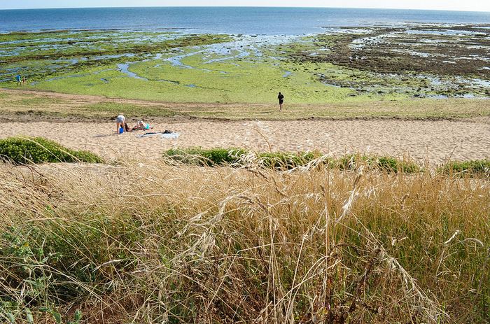 sorties en couple île d'oléron 9- frédérique voisin demery