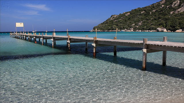 corse 