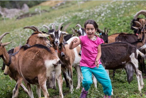 Enfants animaux