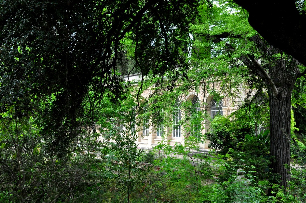 Top 10 des endroits à visiter en Languedoc-Roussillon - plare. cf - Mathilde Rozelot Ortuno - jardin