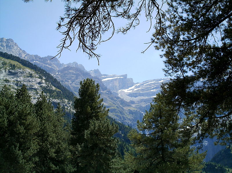 Que faire lors de votre séjour en Midi-Pyrénées ? - plare. cirque de gavarni