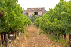 Les 10 raisons de visiter Aix en Provence ! - plare. crédit photo- flickr -Giåm