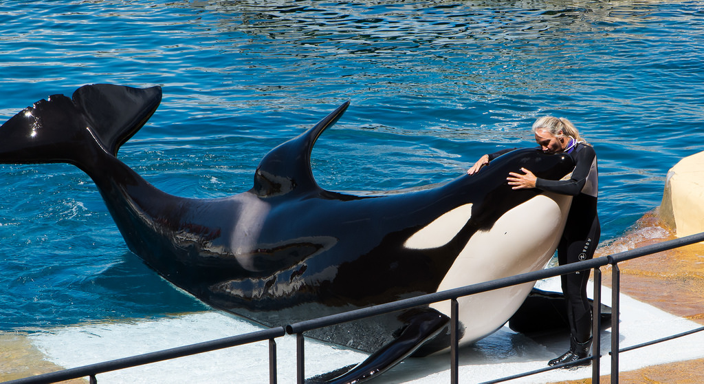 marineland