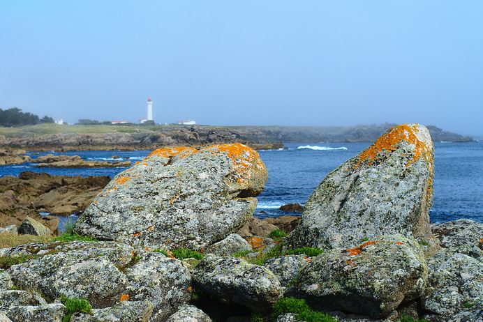 Le top des activités en Vendée ! - plare. ile d'yeu - guillaume galdrat 2