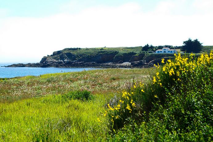 Le top des activités en Vendée ! - plare. ile d'yeu - guillaume galdrat