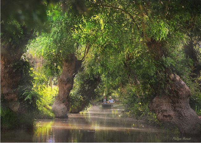 Le top des activités en Vendée ! - plare. marais poitevin - philippe hernot