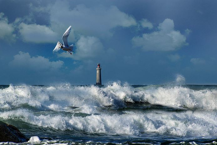 Le top des activités en Vendée ! - plare. phare de noirmoutier - jean françois