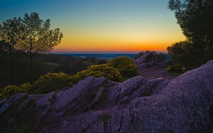 Que voir absolument en Bretagne ? - plare. Brocéliande - Matthieu Brient