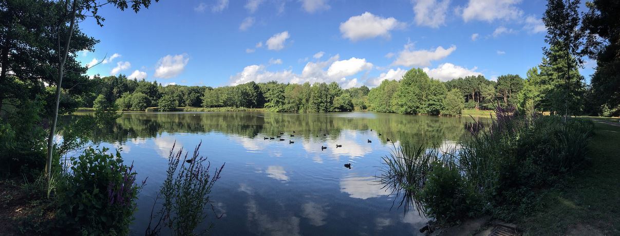 Idées d’activités en pleine nature en Bretagne - plare. Brteagne nature - CharlesEi1