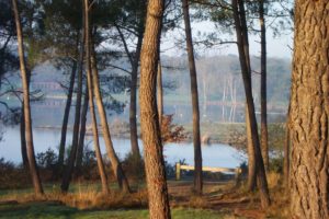 Visiter la Bretagne en 10 jours : que faire? - plare. Brocéliande@Office de tourisme - plare.