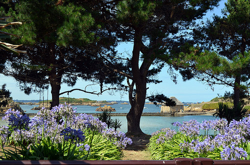 4 bonnes raisons de partir en vacances dans les Côtes d'Armor en Bretagne! - plare. partir en vacances Côtes d'Armor