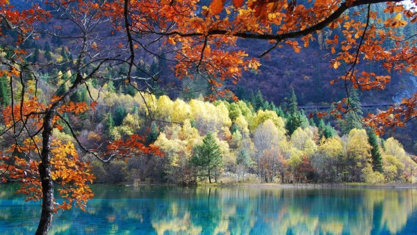 automne in Chine
