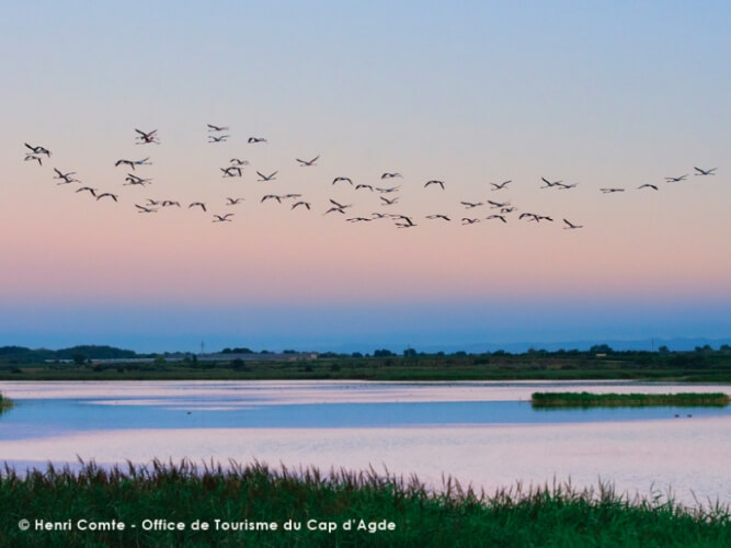 Cap d'Agde image