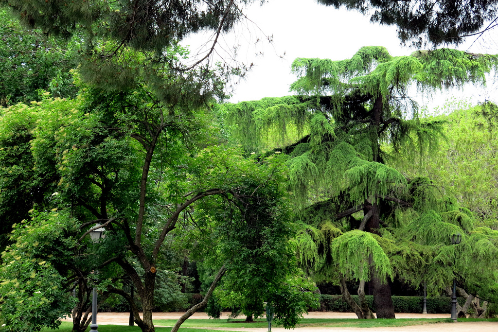 jardin parc madrid