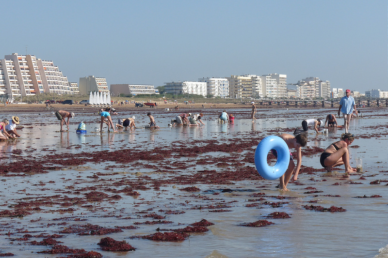 Où partir pendant les vacances de la Toussaint ? - plare. Saint Jean de Monts - Crédit photo @Flickr