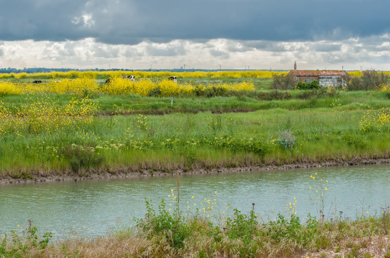 Ile d'Oléron