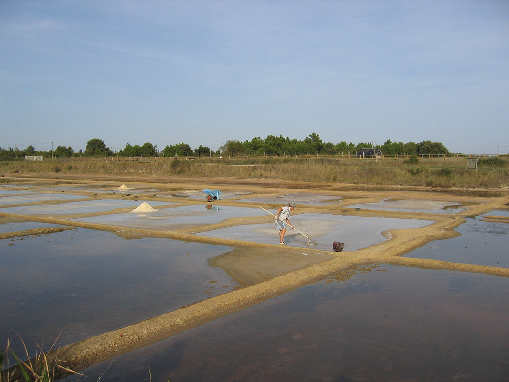 Ile d'Oléron - Récolte du Sel au port des Salines