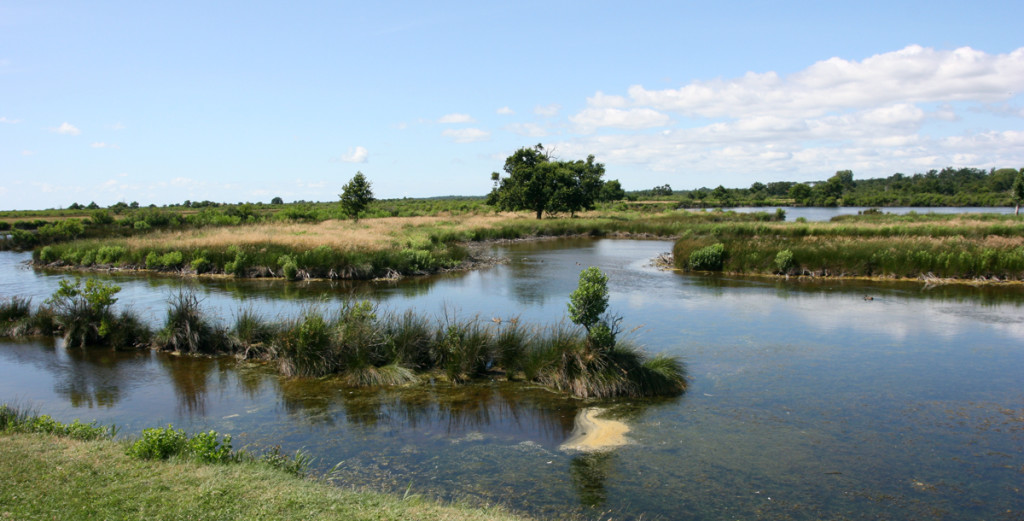 Audenge: Visitez la Gironde autrement! - plare. Le domaine de certe - Crédit photo @leontonton33 - Flickr