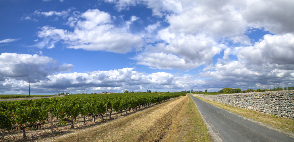 Audenge: Visitez la Gironde autrement! - plare. Sur la route des vins de Bordeaux - Crédit photo @www.hacienda-la-colora.com - Flickr