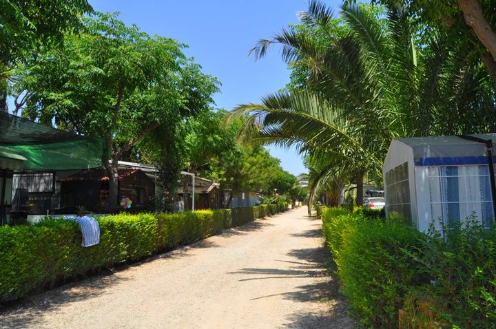 campings en catalogne Camping Amfora d'Arcs - Costa Daurada - Cambrils
