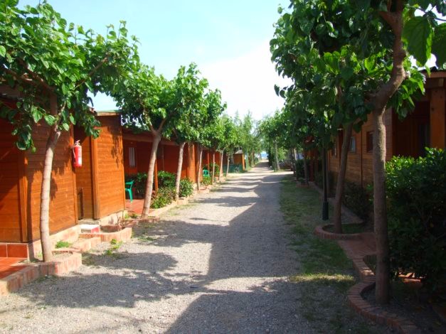 Camping Port Aventura Camping Playa y Fiesta - Costa Daurada - Mont Roig del Camp