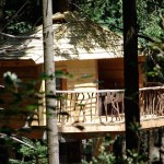 Cabanes als arbres Cabanes als arbres - @cabanesalsarbres