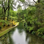 Parque Terra Nostra - Açores - Portugal - @Hugo Cadavez - Flickr