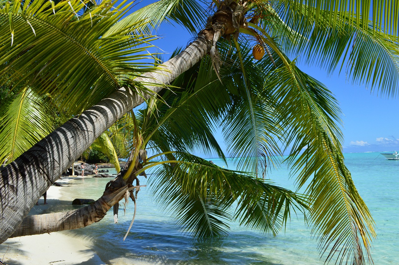 Bora Bora et ses plages paradisiaques. Crédit photo @Franco_Solari - Pixabay