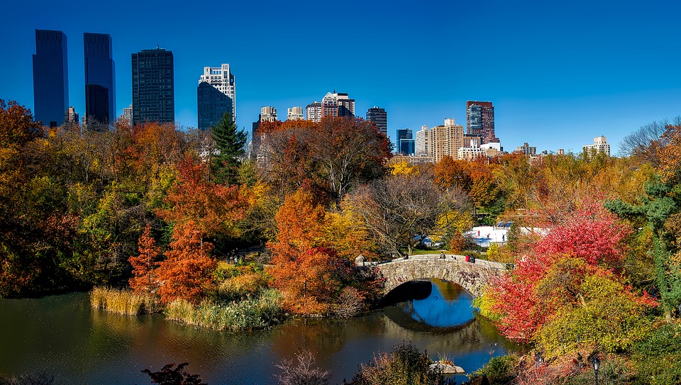Qu'importe la saison, Central Park reste d'une beauté inégalable. Crédit photo @tpsdave - Pixabay