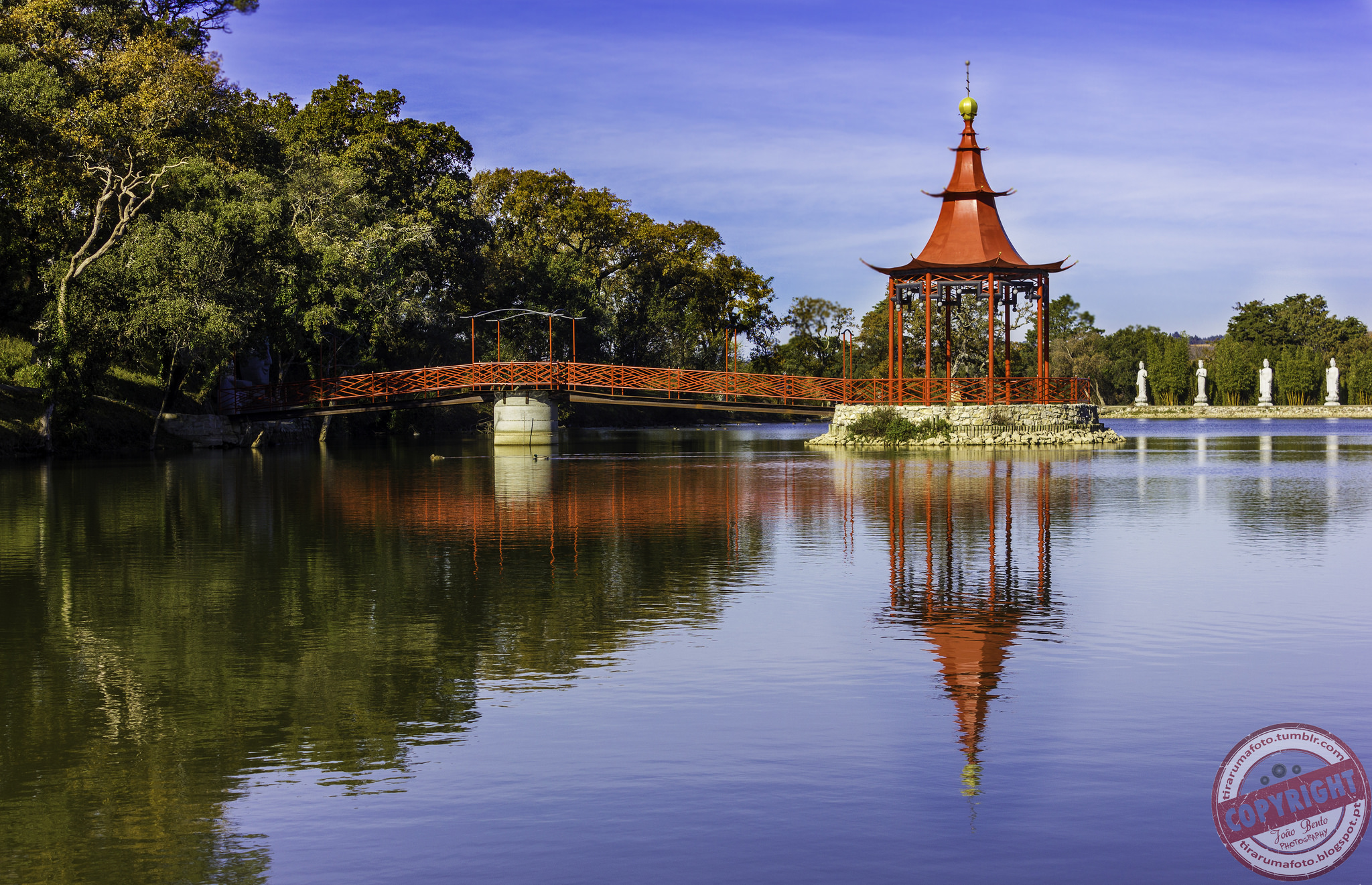 Découvrez les plus beaux jardins du centre du Portugal - plare. Un décor saisissant au Buddha Eden Garden, à Bombarral. Crédit photo @Joao Bento - Flickr