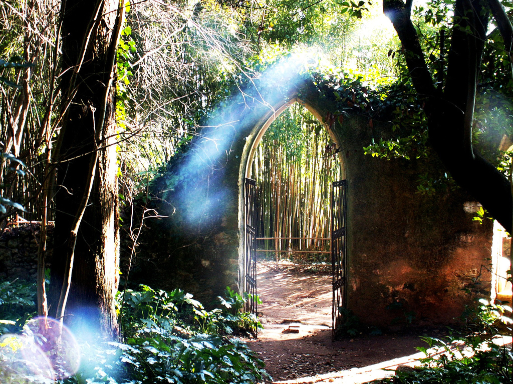 Jardin Quinta das Lágrimas, Coimbra. @Pedro Nuno Caetano - Flickr