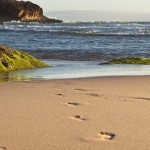Plage de Guincho - Cascais - Portugal - @robiweber - Pixabay