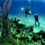Plongée sous-marine - Lège Cap Ferret - @skeeze - Pixabay