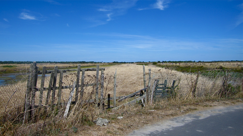 5 destinations pour passer des vacances de rêve en Poitou-Charentes - plare. Ile de Ré - @Erwan Deverre - Flickr