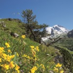 Pralognan : Découvrez en famille une perle au cœur de la Vanoise - plare. Pralo6925 ©G